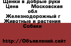 Щенки в добрые руки. › Цена ­ 1 - Московская обл., Железнодорожный г. Животные и растения » Собаки   